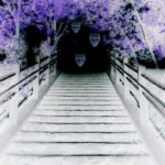 幽霊を呼ぶ方法：霊感ゼロから怪奇体験への道