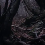 肝試し完全攻略！場所別5パターンで100%恐怖マックス