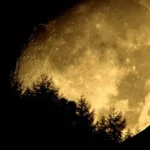 幽霊が出やすい季節・場所・時間：日本のホラー文化の鍵