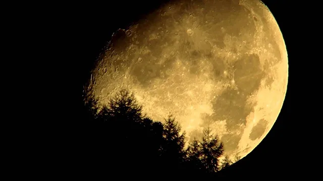 幽霊が出やすい季節・場所・時間:日本のホラー文化の鍵