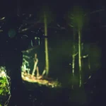 生物学 × 怪異：自然が生む影と怪異の錯覚