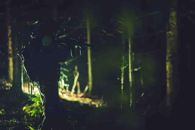 生物学 × 怪異：自然が生む影と怪異の錯覚