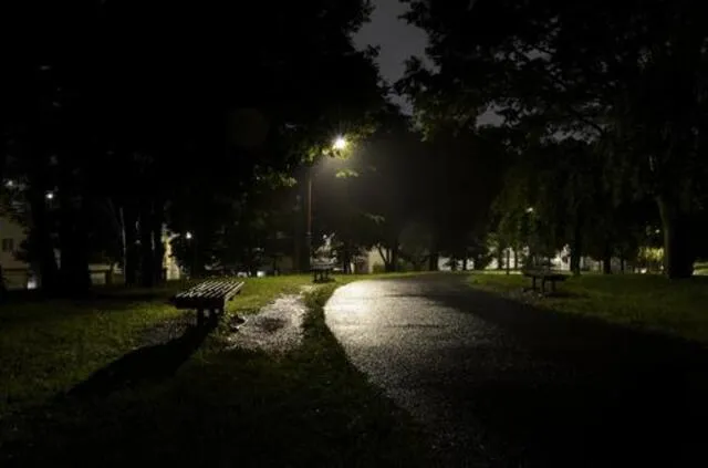 夜の公園（木陰・ベンチ周辺）