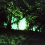 地磁気の乱れが方向感覚を奪う理由:心霊スポットの迷宮メカニズム