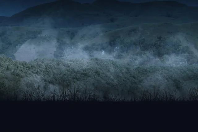 夜の山で音が奇妙に聞こえる理由：音の伝わり方の秘密