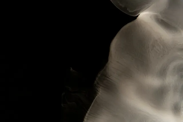 脳科学 × 心霊現象:脳が紡ぐ幻影と怪異の境界線