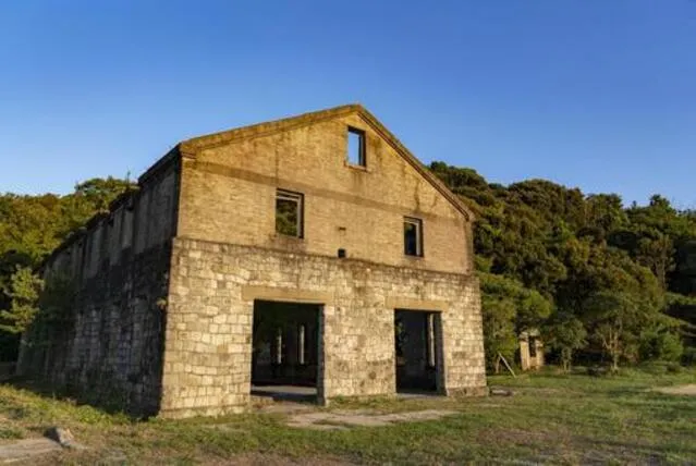旧日本陸軍病院跡地:戦争神経症と野戦病院の記憶が残す集団的トラウマ
