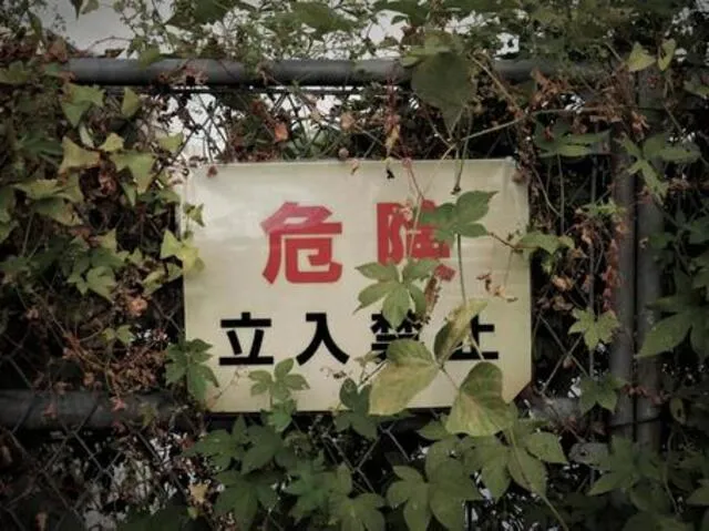 心霊スポットで起きた実際の事故！危険ポイントを知らずに訪れる恐怖