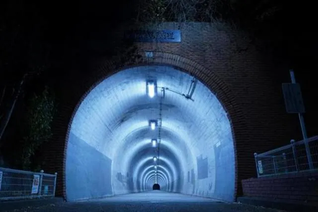 心霊スポットで「何も起きなかった」：平気すぎる自分が逆にヤバい!?