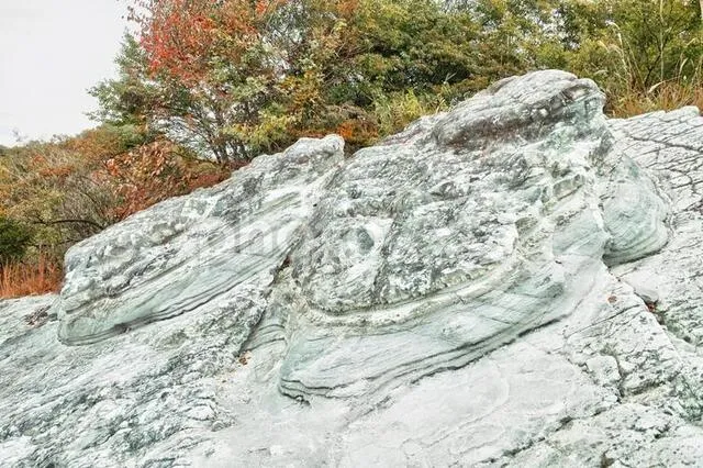 屯鶴峯防空壕：奈良の戦争遺跡に漂う掘削者の怨念と心霊の気配