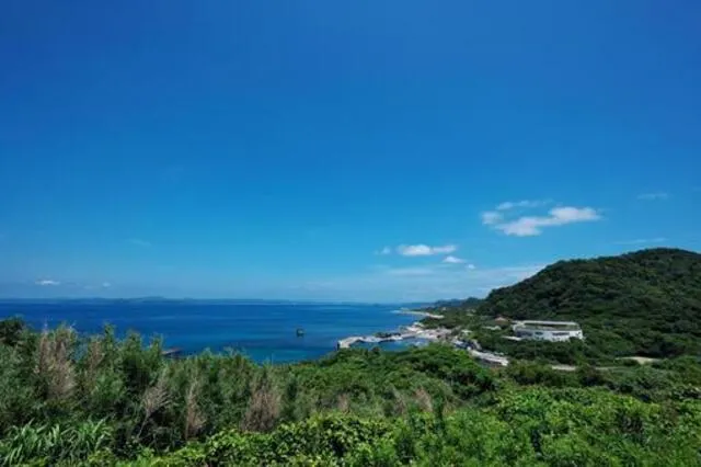 深沢防空壕：千葉館山の素掘り戦争遺構に響く兵士の霊と崩落の闇