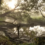 谷・崖・湿地で怪談が生まれる理由:科学が解く地形の不気味な共通点