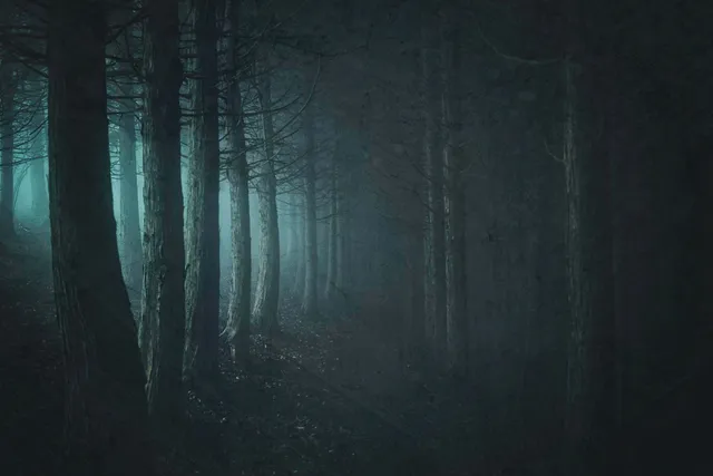 風切り音が“すすり泣き”に聞こえる仕組み:科学が解く風の幻聴