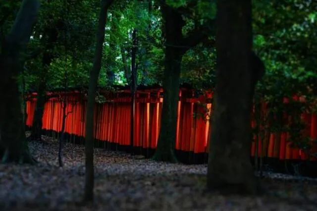 心霊 × 民俗・伝承：怪異はどこから来る？日本の民俗・伝承が語る“心霊の原型”