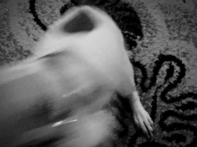 心霊写真に写りやすい身体の部位「手・顔」人影の特徴と霊的意味